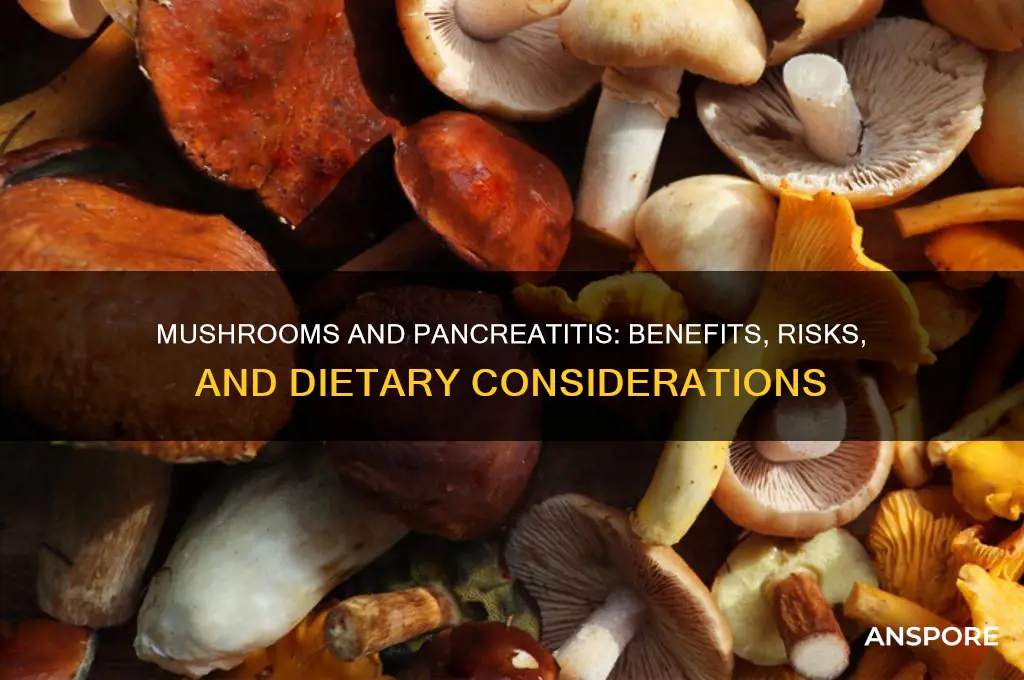 is mushroom good for pancreatitis