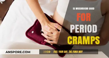 Mushrooms for Menstrual Relief: Easing Period Cramps Naturally
