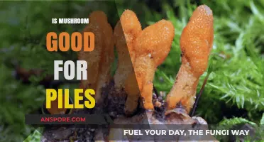 Mushrooms and Piles: Exploring Their Potential Benefits and Risks