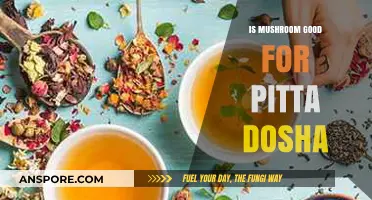 Mushrooms and Pitta Dosha: Balancing Benefits and Considerations