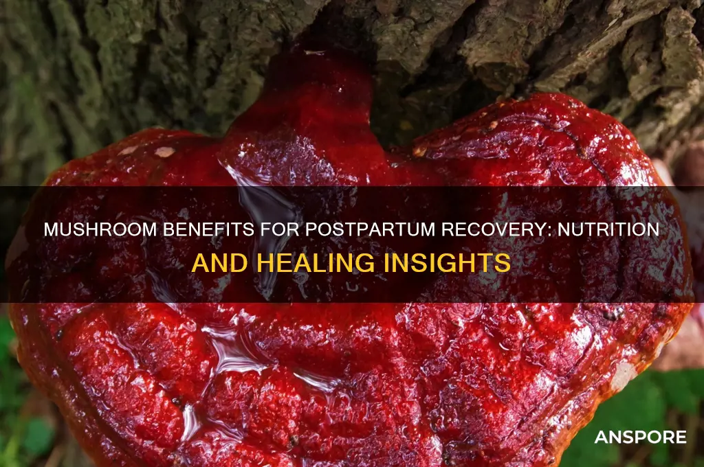 is mushroom good for postpartum
