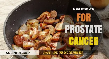 Mushrooms and Prostate Cancer: Unveiling Potential Benefits and Research Insights