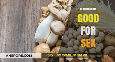 Mushrooms and Libido: Unveiling the Truth About Sexual Benefits