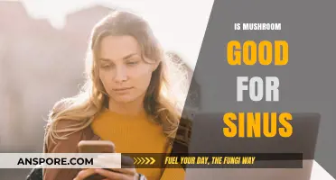 Mushrooms and Sinus Health: Benefits, Myths, and Effective Remedies