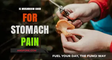 Mushrooms for Stomach Pain: Natural Relief or Myth?