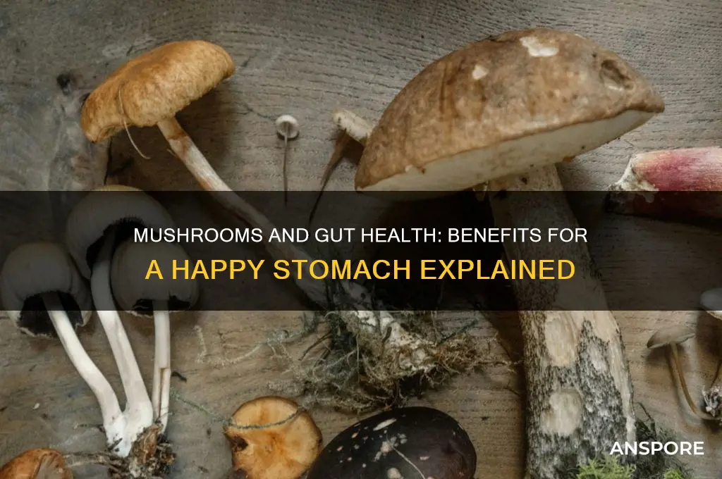 is mushroom good for stomach