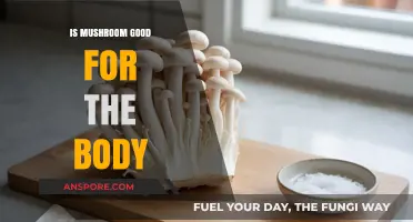 Mushrooms: Unlocking Nutritional Benefits and Health Advantages for Your Body