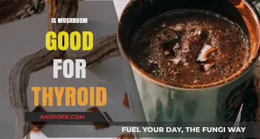 Mushrooms and Thyroid Health: Benefits, Risks, and Nutritional Insights