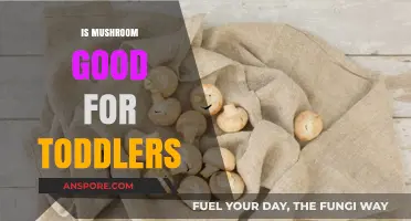 Mushrooms for Toddlers: Nutritional Benefits and Safe Serving Tips