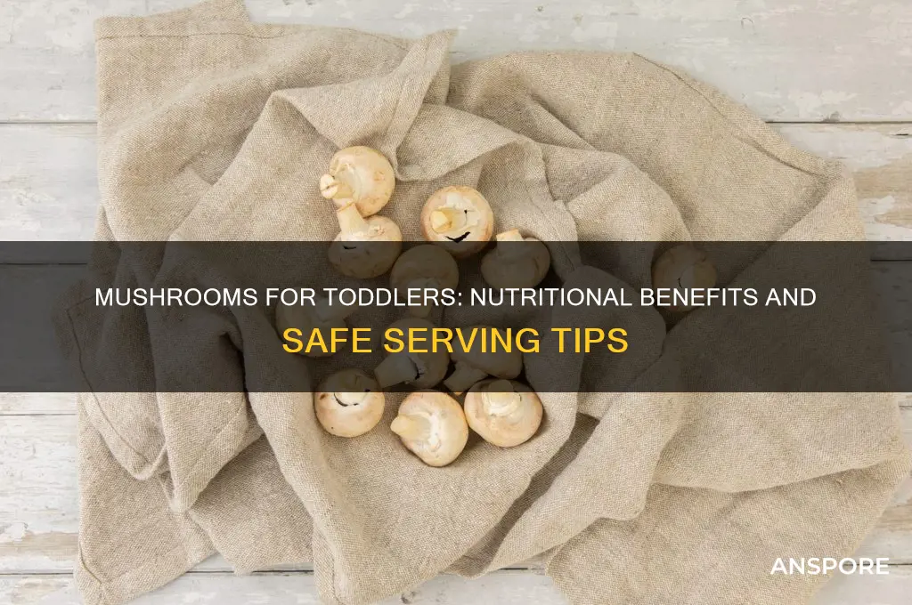 is mushroom good for toddlers