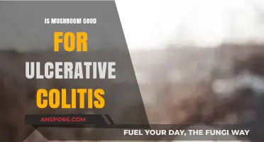 Mushrooms and Ulcerative Colitis: Benefits, Risks, and Dietary Considerations