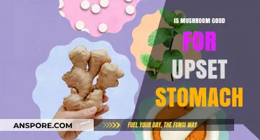 Mushrooms for Upset Stomach: Natural Remedy or Myth?