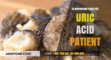 Mushrooms and Uric Acid: Benefits or Risks for Gout Patients?