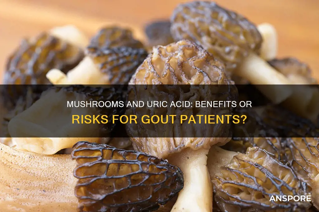 is mushroom good for uric acid patient