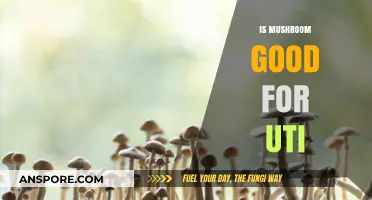 Mushrooms and UTIs: Exploring Their Potential Benefits and Risks