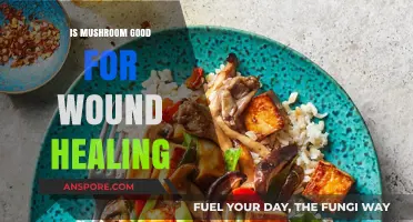 Mushroom's Healing Power: Can Fungi Accelerate Wound Recovery?