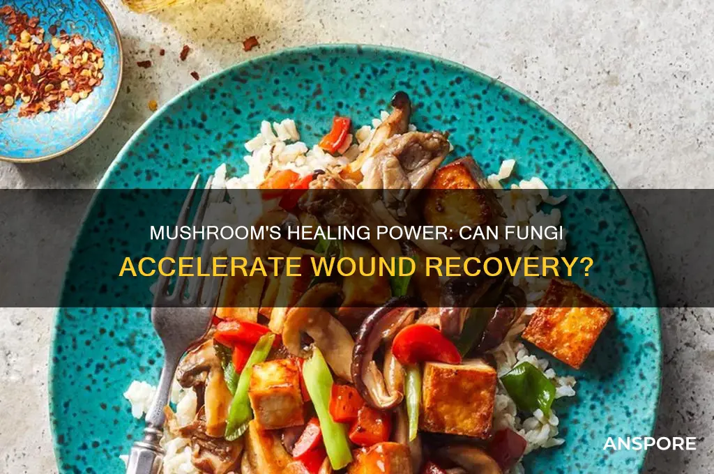 is mushroom good for wound healing
