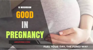 Mushrooms in Pregnancy: Benefits, Risks, and Safe Consumption Tips