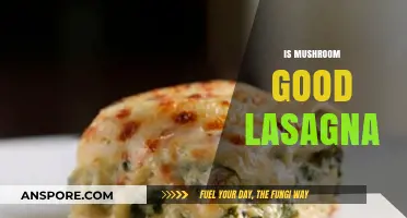 Mushroom Lasagna: A Delicious Twist on a Classic Italian Dish