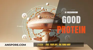 Mushrooms as Protein: Nutritional Benefits and Culinary Versatility Explored