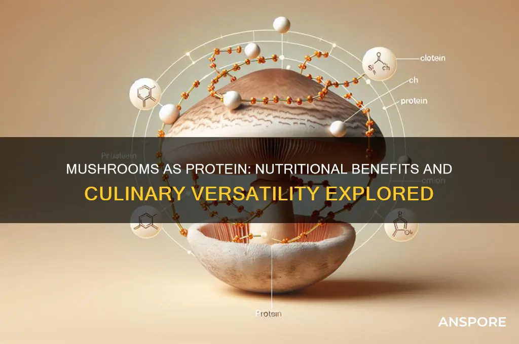 is mushroom good protein