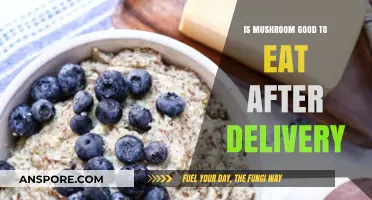 Postpartum Nutrition: Are Mushrooms Safe and Beneficial After Delivery?