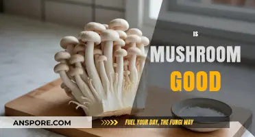 Are Mushrooms Good for You? Unveiling Their Health Benefits and Risks