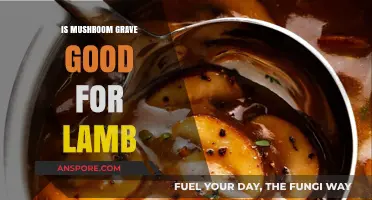 Mushroom Gravy Magic: Elevating Lamb Dishes with Earthy Flavors