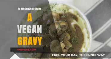 Is Mushroom Gravy Vegan? Uncovering the Truth About This Savory Sauce