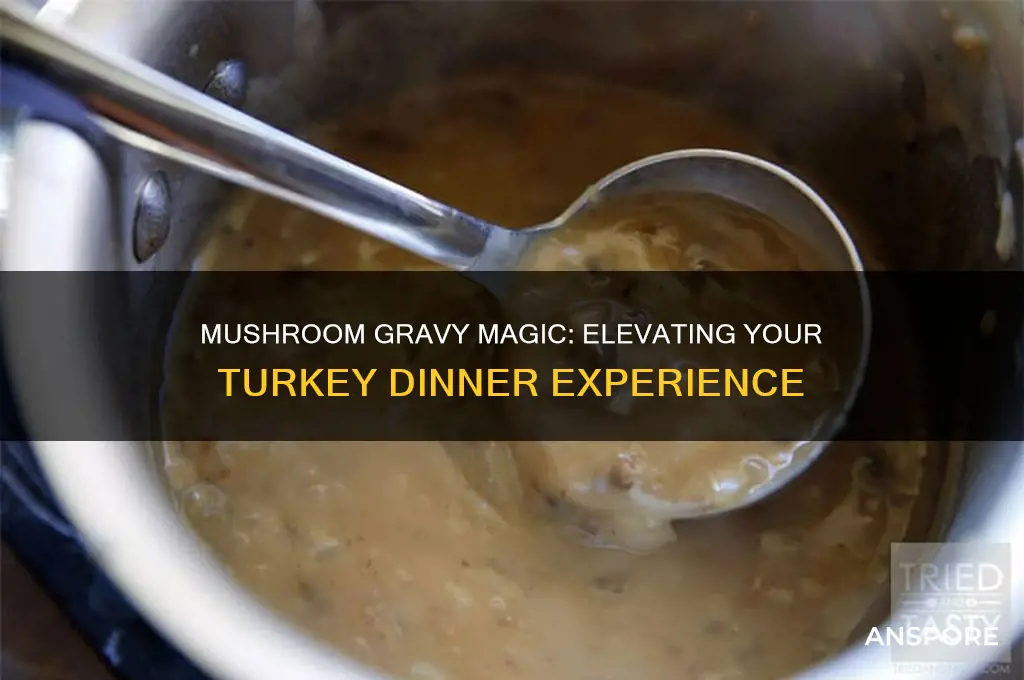 is mushroom gravy good with turkey