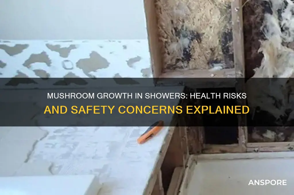 is mushroom growing in shower dangerous