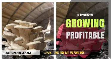 Is Mushroom Farming a Profitable Business Venture for You?