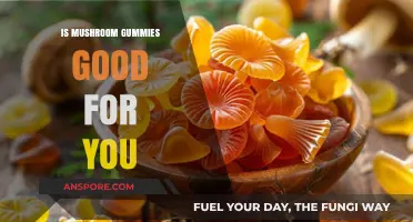 Mushroom Gummies: Health Benefits, Risks, and What to Know