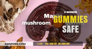 Mushroom Gummies: Are They Safe?