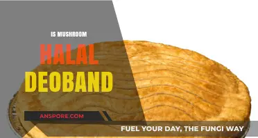 Mushroom Halal Status: Deoband Ruling Explained