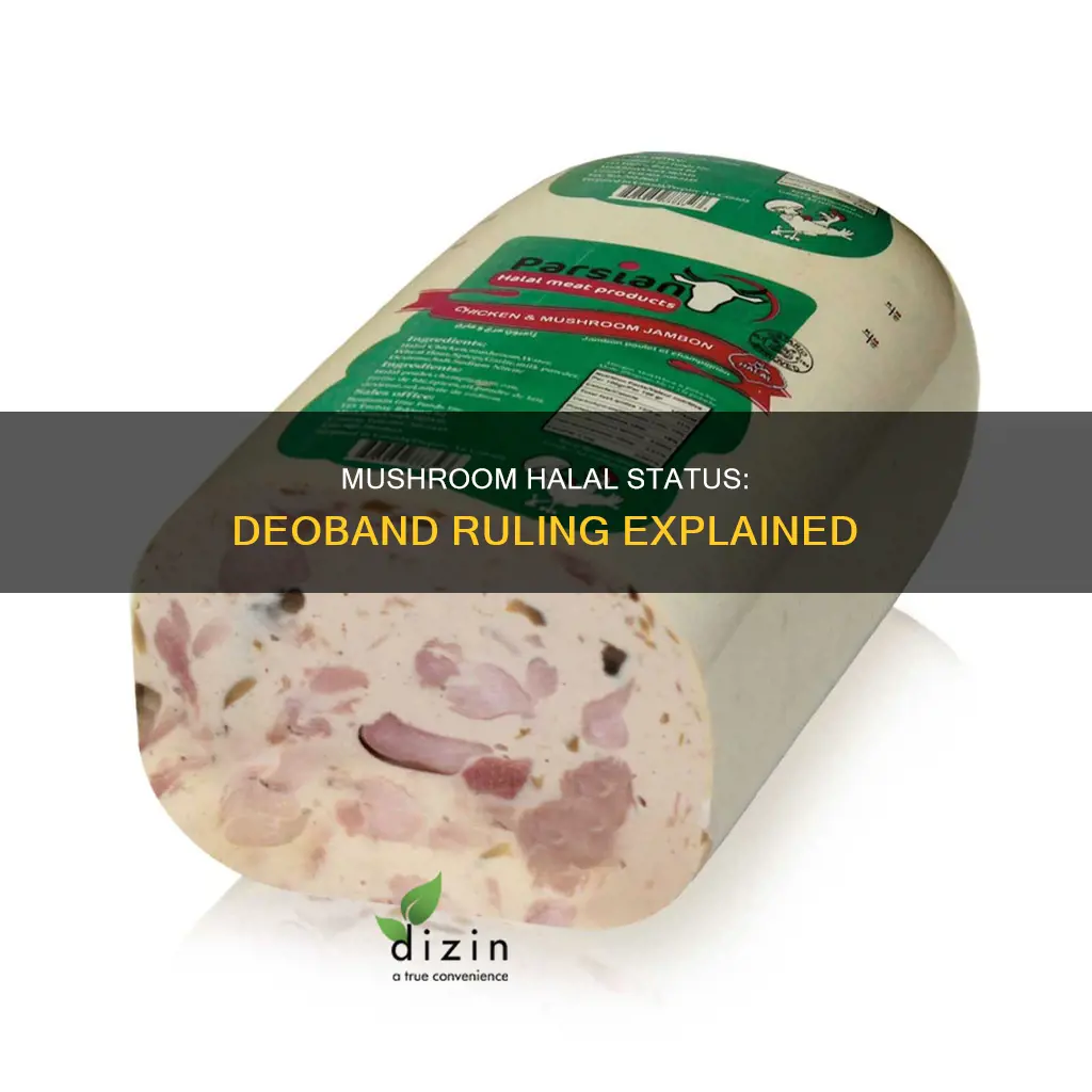 is mushroom halal deoband