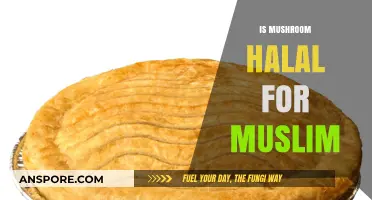 Mushroom Halal Status: What Muslims Should Know