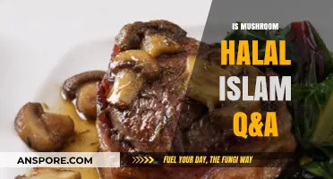 Mushroom Halal or Not? Exploring Islamic Dietary Laws in Depth