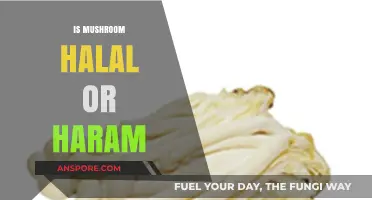Mushrooms: Halal or Haram?