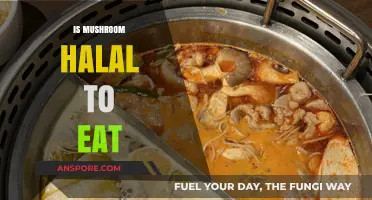 Exploring the Halal Status of Mushrooms: A Comprehensive Guide