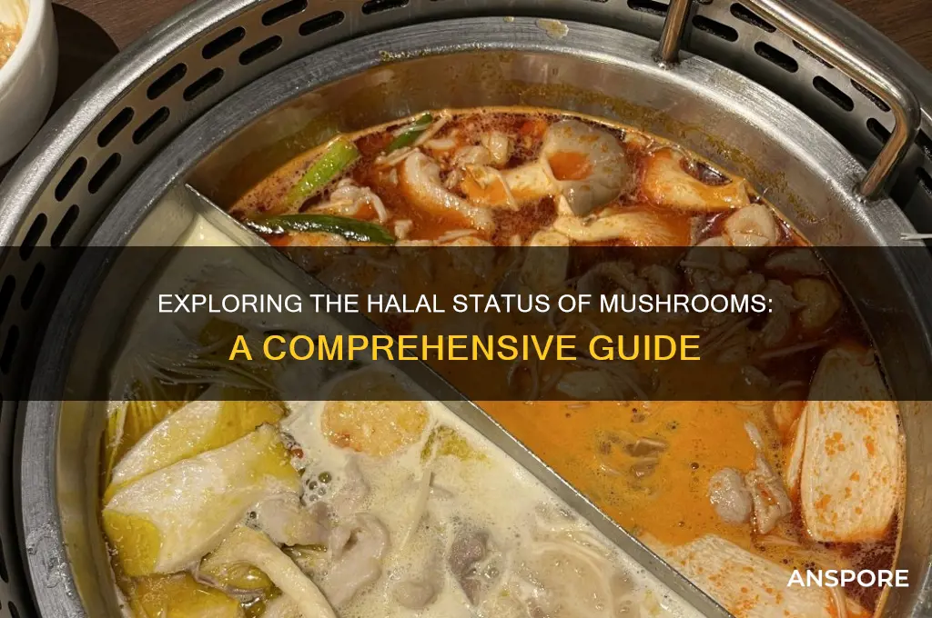 is mushroom halal to eat