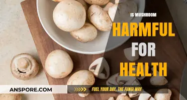 Mushroom Consumption: Harmful or Healthy?