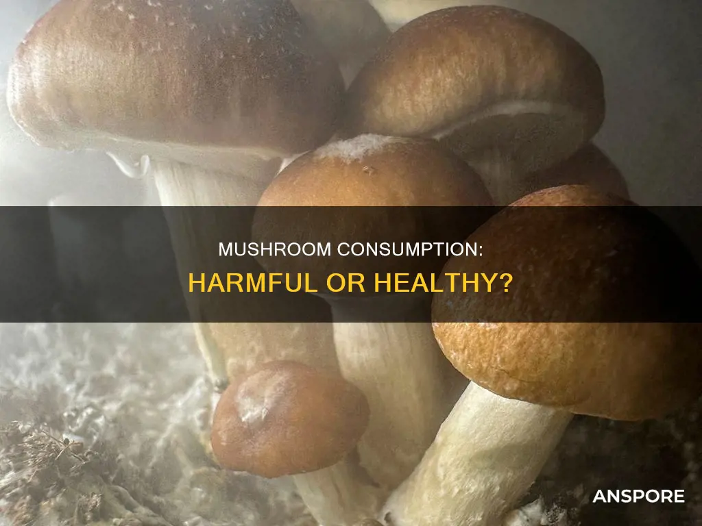 is mushroom harmful for health