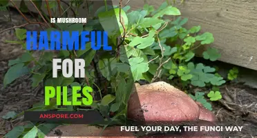 Mushroom Consumption and Piles: A Safe Combination?