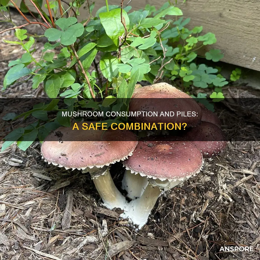 is mushroom harmful for piles
