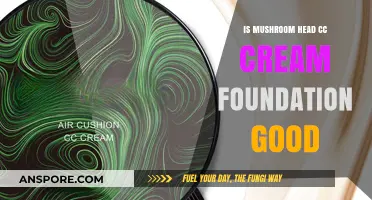 Mushroom Head CC Cream Foundation Review: Is It Worth the Hype?