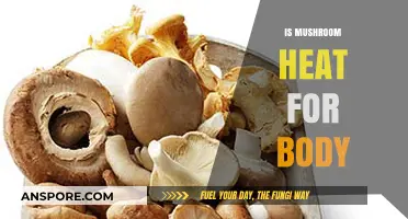 Mushroom's Healing Power: Is It Good for Your Body?