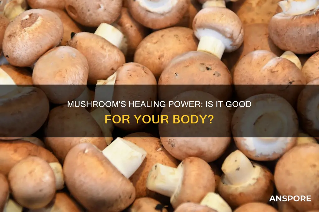 is mushroom heat for body