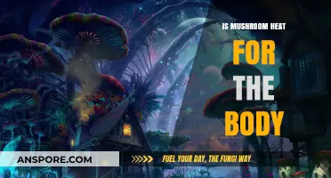 Mushroom Heat: Exploring Their Warming Effects on the Body