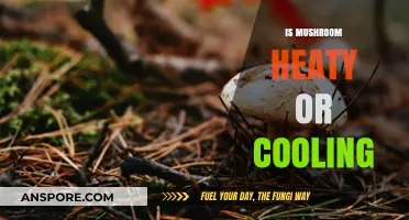 Mushroom's Nature: Heaty or Cooling?